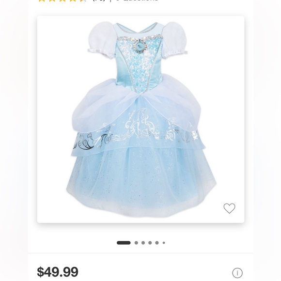 Cinderella Costume - Picture 10 of 10